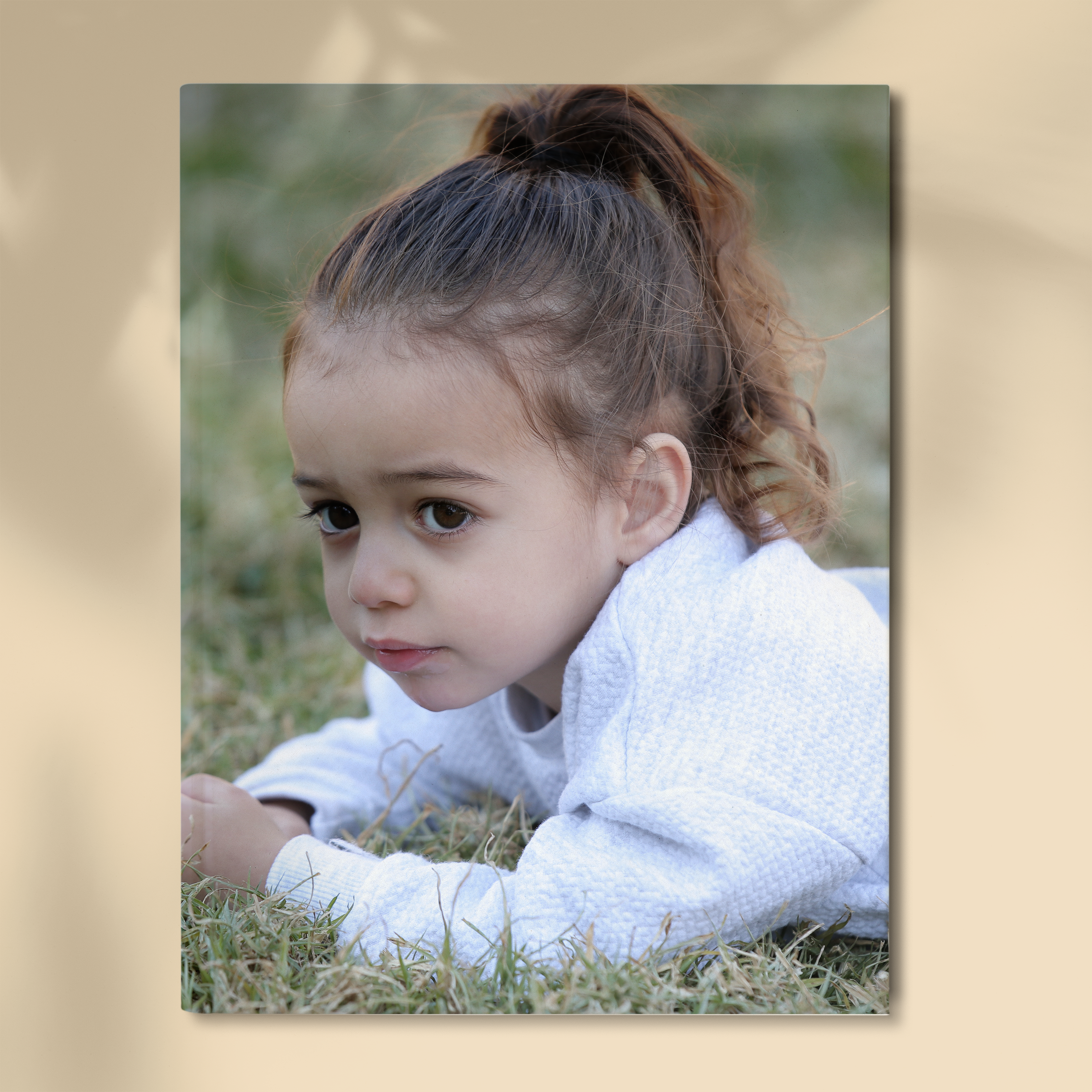 קנבסים בכל מיני גדלים