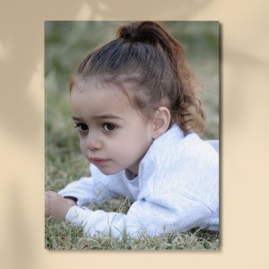 קנבסים בכל מיני גדלים